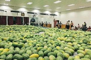 学校新瓜最新爆料江苏,揭秘校园风云背后的真相！”