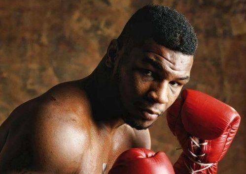 泰森最新爆料视频,揭秘拳坛风云与个人生活点滴