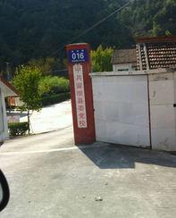 汉中留坝爆料事件最新,真相与争议交织的舆论漩涡