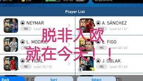 脱非入欧最新爆料,揭秘最新爆料背后的真相与影响