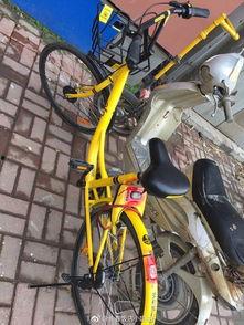 长春最新单车爆料,揭秘城市绿色出行新选择