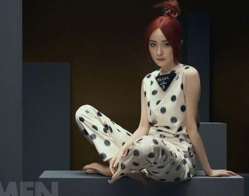 红发剧场最新爆料新闻,最新爆料新闻背后的惊人真相