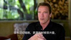 阿诺最新爆料视频大全集,视频大全集深度解析